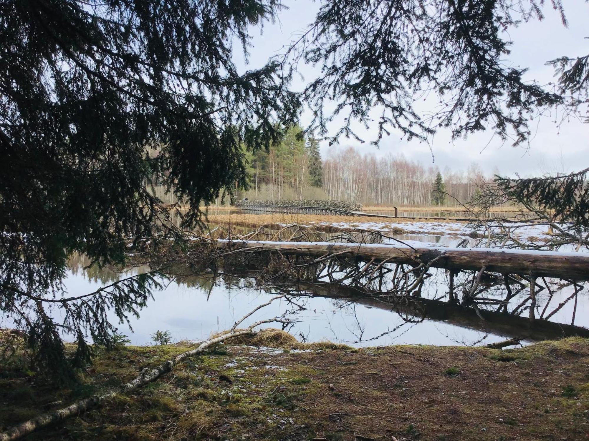 Apartmany A&Z Hořice na Šumavě Oda fotoğraf